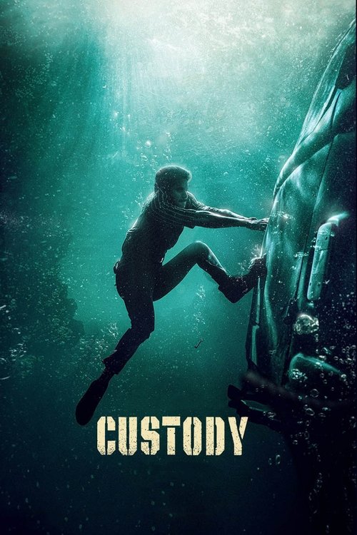Custody poster