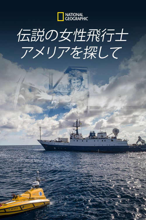 Expedition Amelia poster