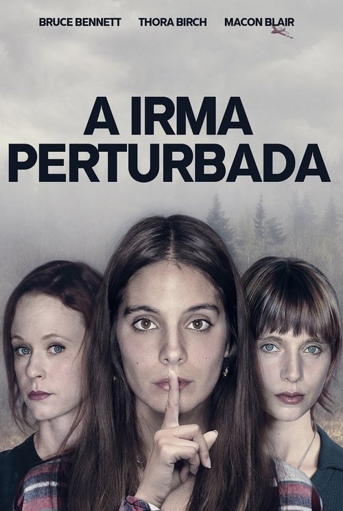 Poster do filme A Irmã Perturbada