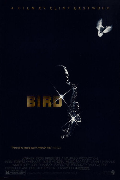 Poster 7 for Bird