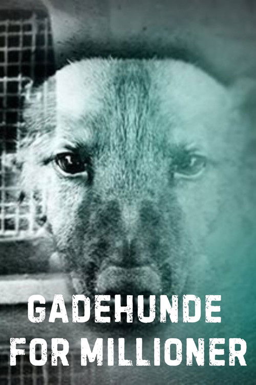 Gadehunde for millioner