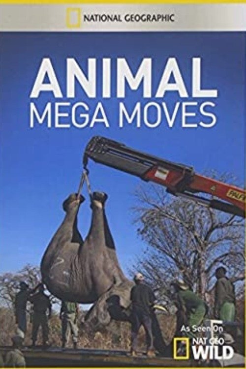Animal Mega Moves