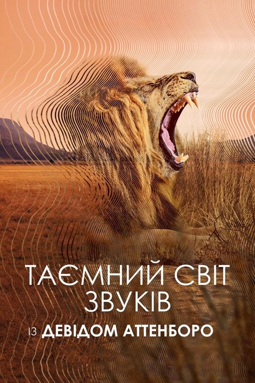Таємний світ звуків із Девідом Аттенборо / Secret World of Sound (2024) TMDB poster