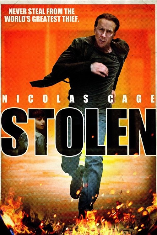 Largescale poster for Stolen