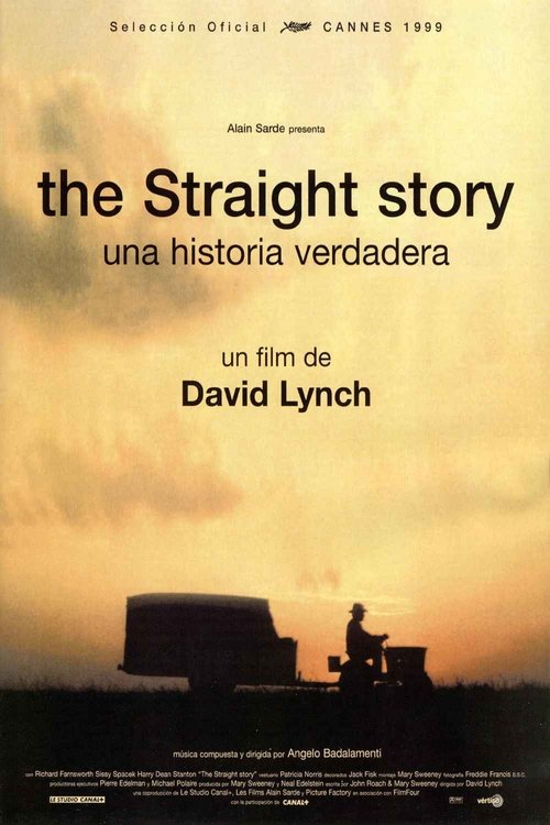 Una historia verdadera Poster