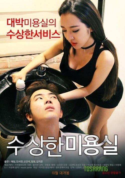 수상한 미용실 (2015) poster