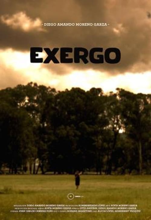 Exergo poster