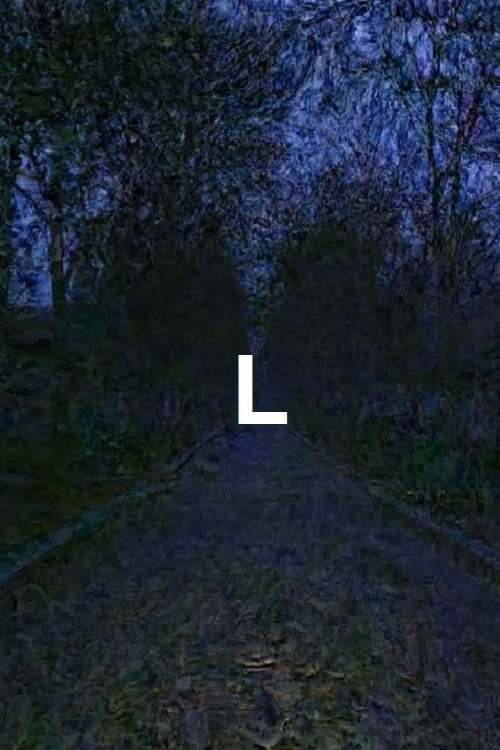 L