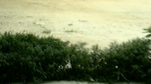 Épisode 13