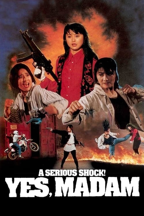 A Serious Shock! Yes Madam! Movie Poster Image