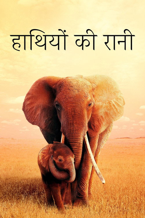 The Elephant Queen poster