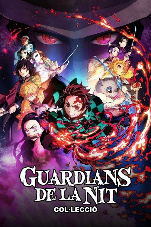 Pòster de Guardians de la Nit - Col·lecció