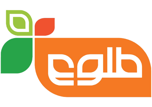 TOLO logo TOLO logo