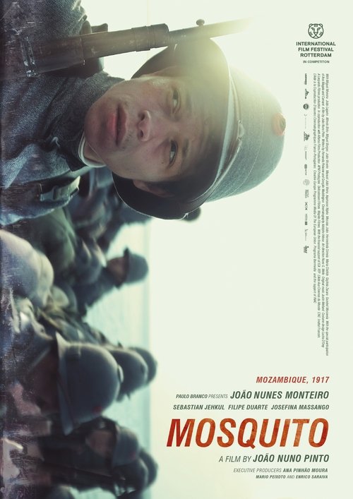 Poster 3