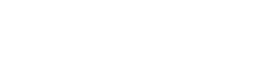 العنكبوت
