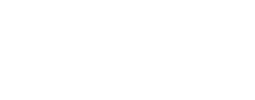 Reno 911!: The Hunt for QAnon