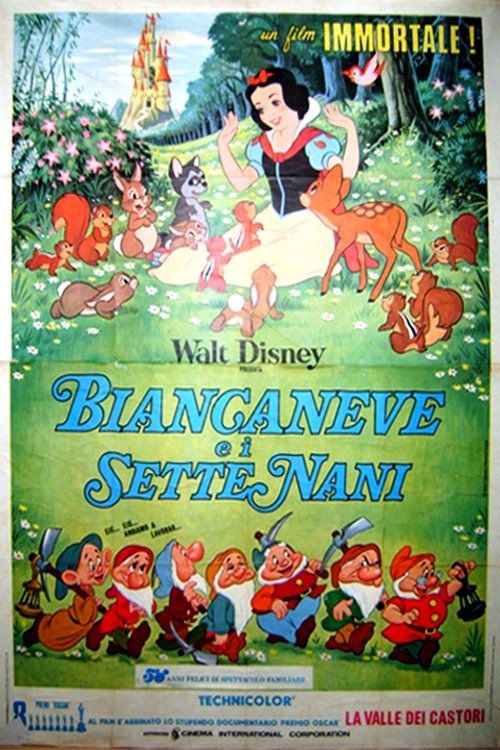 Posters