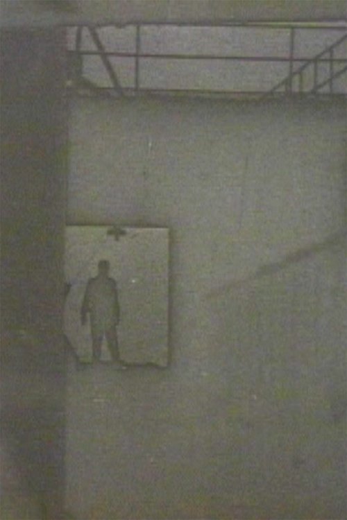 Copyright 1980