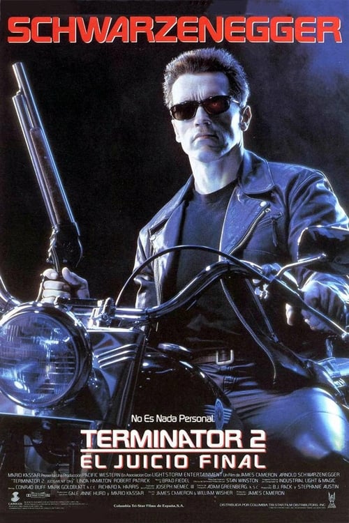 Terminator 2: Judgment Day poster