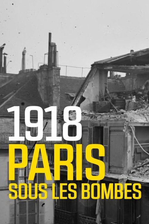 1918 Paris sous les bombes movie poster player