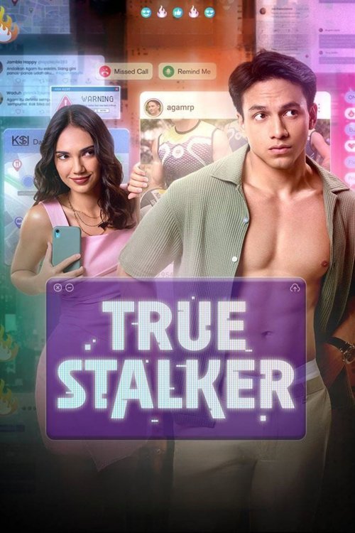 True Stalker cover