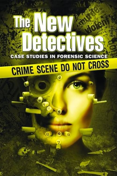 Where to stream The New Detectives Season 3
