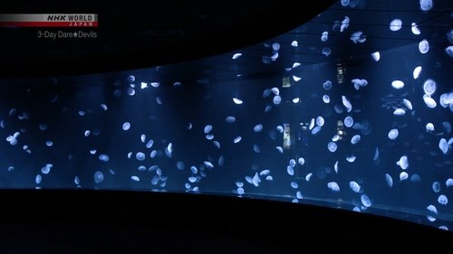 Image de l'épisode 1