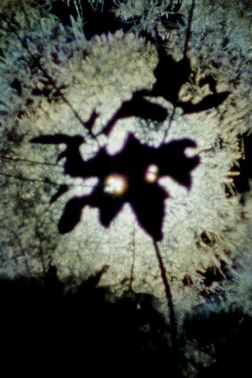 Poster for Spark from a Falling Star
