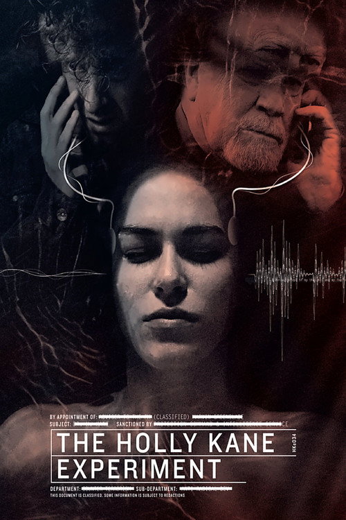 The Holly Kane Experiment poster