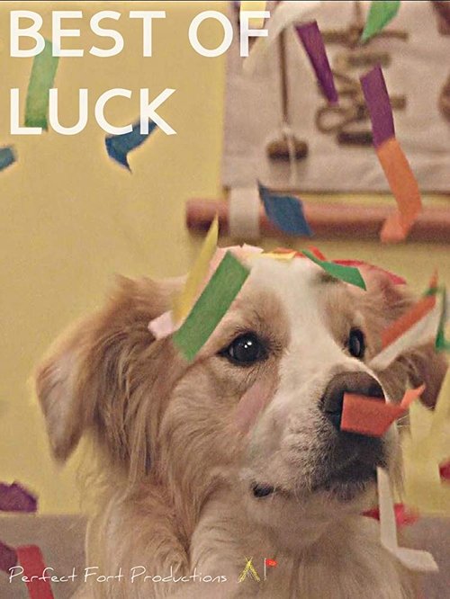 Best of Luck movie poster player
