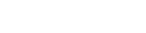The Millionaire Matchmaker