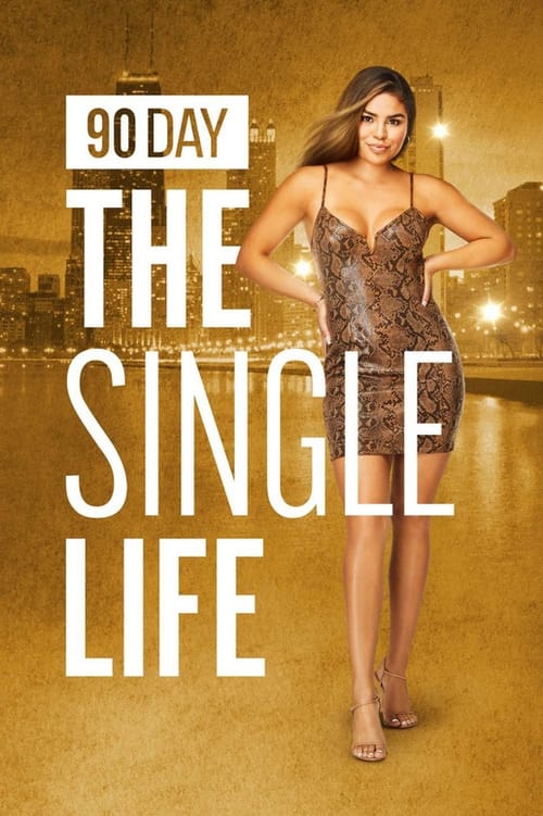 Where to stream 90 Day: The Single Life Season 1