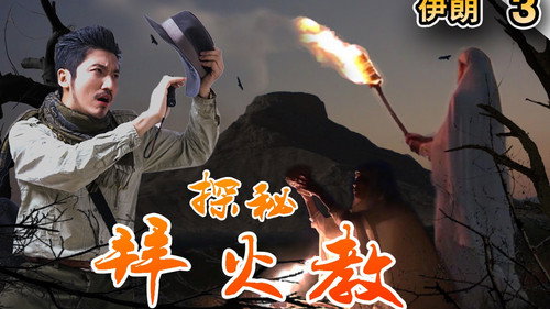 Episode 229