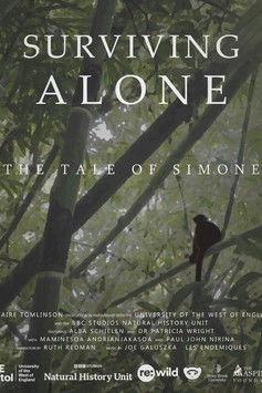 Surviving Alone: The Tale of Simone poster