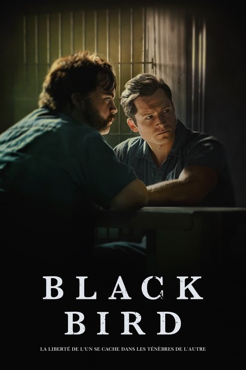 Black Bird - Saison 1