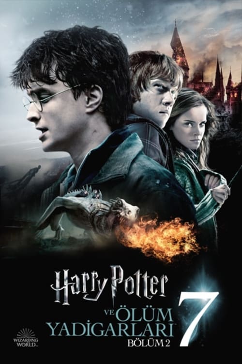 Harry Potter and the Deathly Hallows: Part 2 (2011)