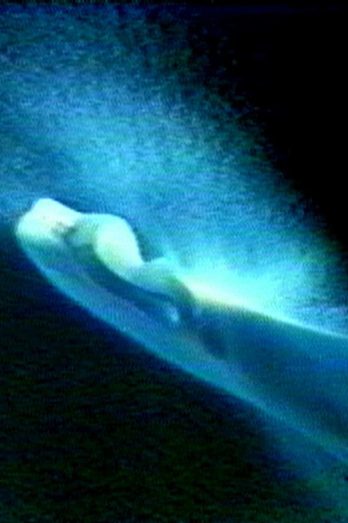 Jembe (1989) poster