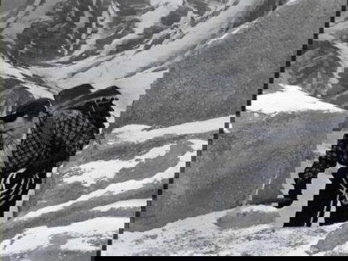 Lucy in the Swiss Alps