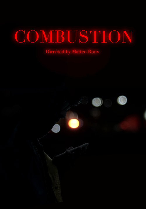Combustion