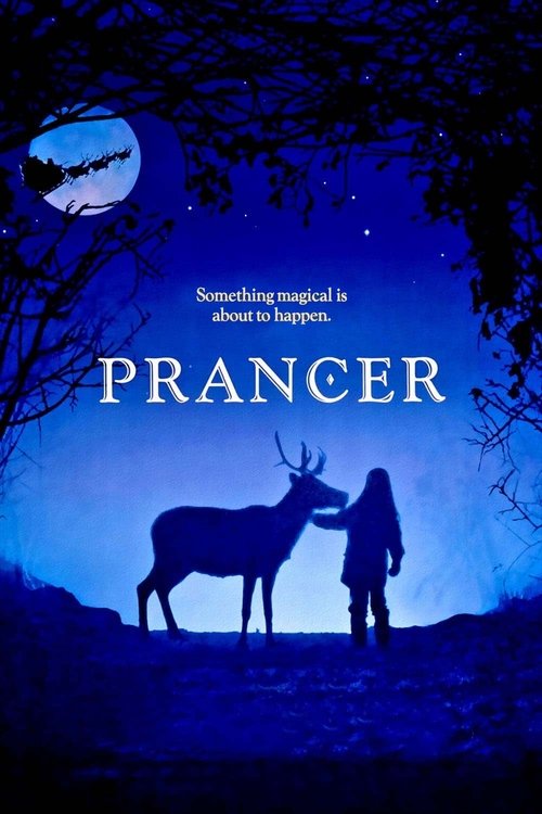 Grootschalige poster van Prancer