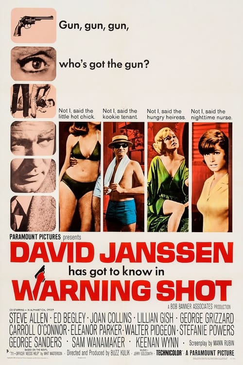 Warning Shot poster