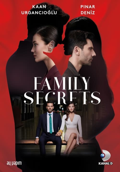 Family Secrets tv show poster