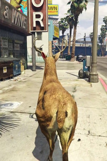 San Andreas Streaming Deer Cam poster