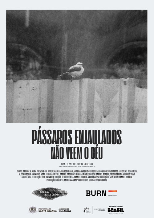 Pássaros Enjaulados Não Veem o Céu Poster Blur