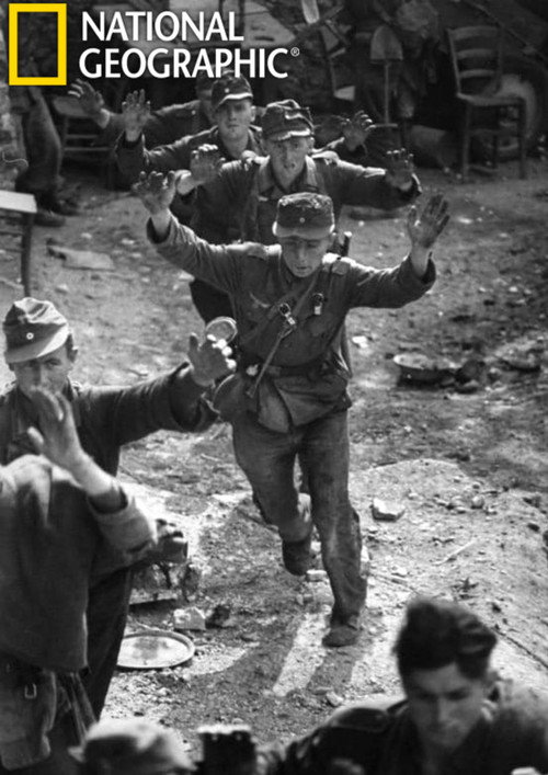 Season 1 (2019) - Season 1 poster and promotional image