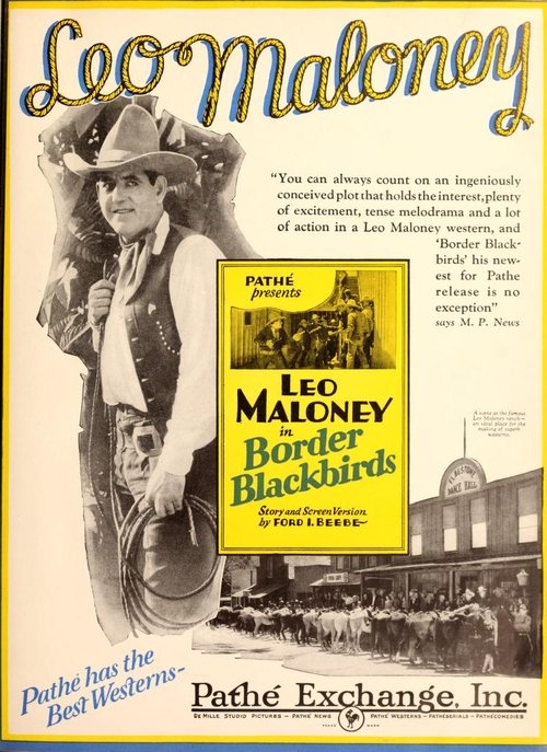 Border Blackbirds movie poster player