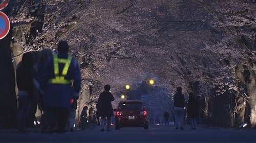 Épisode 14