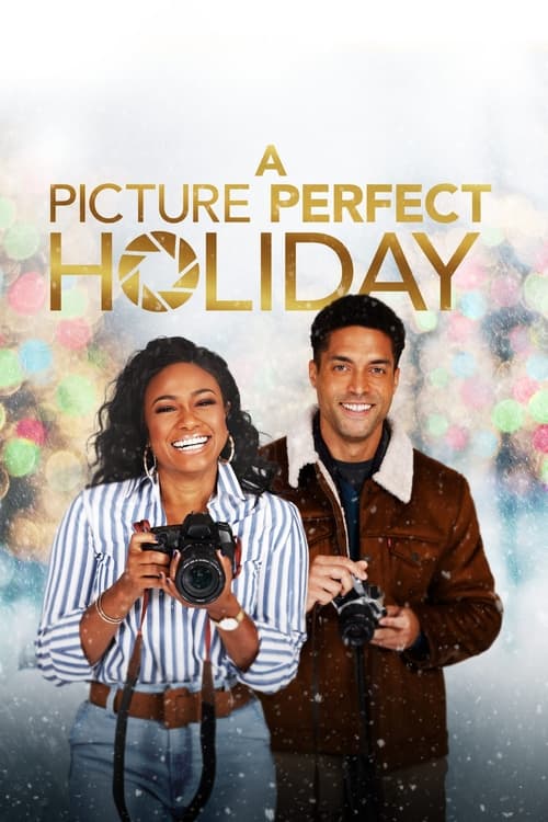 A Picture Perfect Holiday (2021) poster