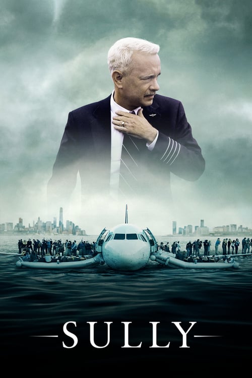 On 15 January 2009, the world witnessed the 'Miracle on the Hudson' when Captain 'Sully' Sullenberger glided his disabled plane onto the Hudson River, saving the lives of all 155 souls aboard. However, even as Sully was being heralded by the public and the media for his unprecedented feat of aviation skill, an investigation was unfolding that threatened to destroy his reputation and career.