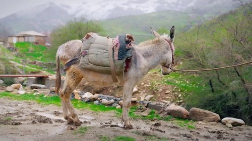 Image de l'épisode 6